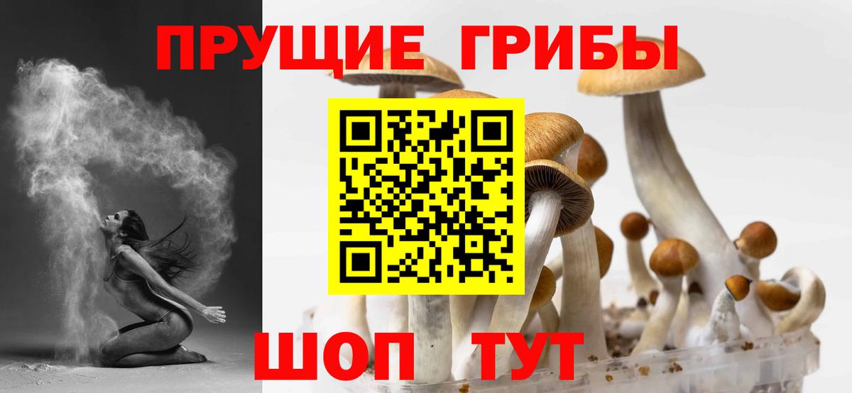 Галлюциногенные грибы Cubensis  Вход с VPN  купить наркоту  Рубцовск 